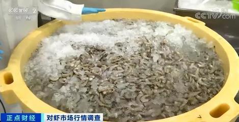 這種海鮮賣爆了！價格竟然腰斬！你買過了嗎？