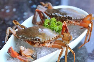 198元龍蝦海鮮拼盤免費(fèi)送！品味鮮香，暢享海鮮火鍋盛宴